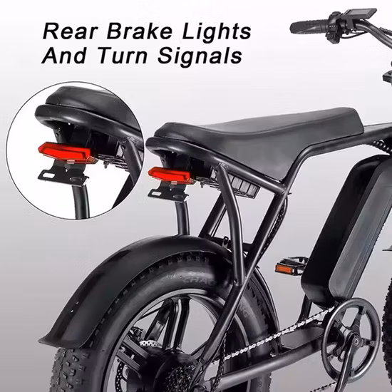 Electric Bike for Adults Dual Hub 1000W Motor 20*4 Fat Tire Mountain Dirt E-Bike 50 Miles Long Range Hydraulic Brake, 48V 20ah Battery Ebike