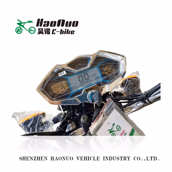 2020 High Grade Powerful 3000W Electric Dirt Bike with 13 Inch Wheel for Adults