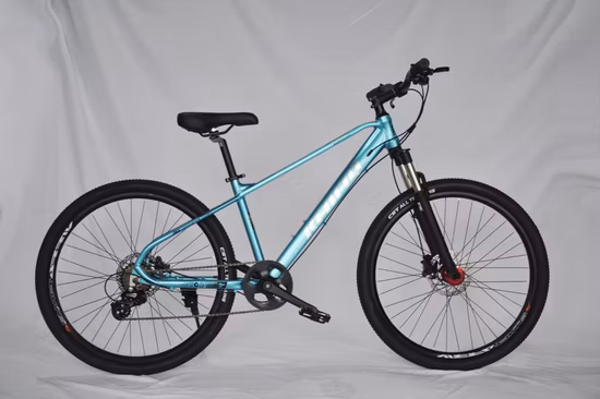 20′ ′ -26′ ′ Cheap and Competitive Price MTB Mountain Bike for Children and Adults