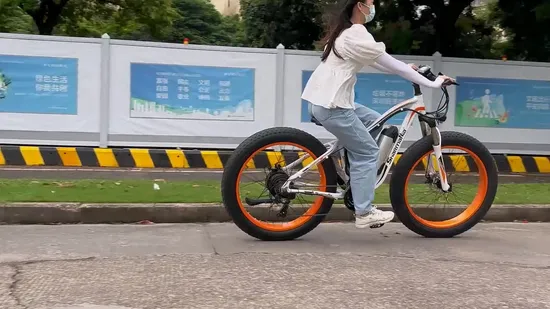 Zsnake 750W Electric Bike for Adults, 30 Mph Electric Mountain Bike with 48V 20A Removing Lithium Battery, 26 Inch Fat Road Vacuum Tires and, LED Display